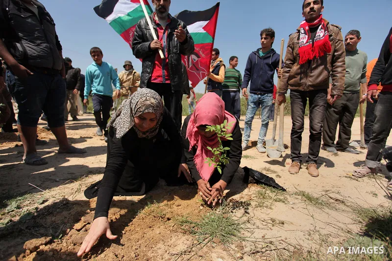 Palestinian protesters plant olive trees during a rally to mark Land Day, near the Nahal Oz crossing east of Gaza City on March 31, 2016. The annual commemorations of the killing by police of six Arab citizens in 1976 du...