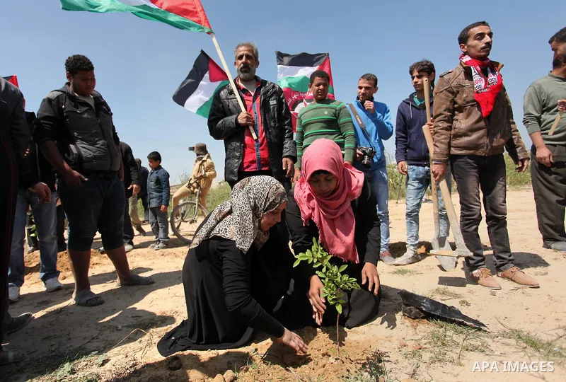 Palestinian protesters plant olive trees during a rally to mark Land Day, near the Nahal Oz crossing east of Gaza City on March 31, 2016. The annual commemorations of the killing by police of six Arab citizens in 1976 du...
