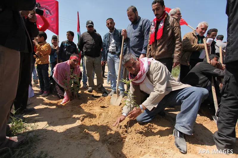 Palestinian protesters plant olive trees during a rally to mark Land Day, near the Nahal Oz crossing east of Gaza City on March 31, 2016. The annual commemorations of the killing by police of six Arab citizens in 1976 du...