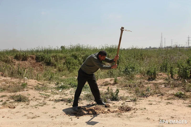 Palestinian protesters plant olive trees during a rally to mark Land Day, near the Nahal Oz crossing east of Gaza City on March 31, 2016. The annual commemorations of the killing by police of six Arab citizens in 1976 du...