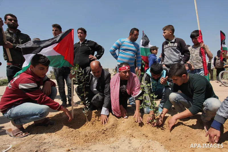 Palestinian protesters plant olive trees during a rally to mark Land Day, near the Nahal Oz crossing east of Gaza City on March 31, 2016. The annual commemorations of the killing by police of six Arab citizens in 1976 du...