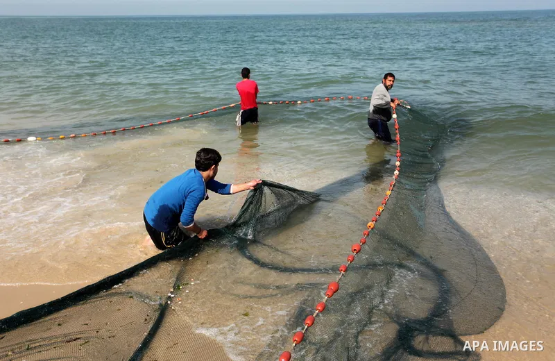 Palestinian fishermen pull their net at the beach in Gaza City on April 03, 2016. Israel on Sunday extended the distance it permits Gaza fishermen to head out to sea along certain parts of the coastline of the enclave, w...