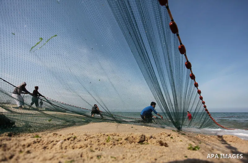 Palestinian fishermen pull their net at the beach in Gaza City on April 03, 2016. Israel on Sunday extended the distance it permits Gaza fishermen to head out to sea along certain parts of the coastline of the enclave, w...