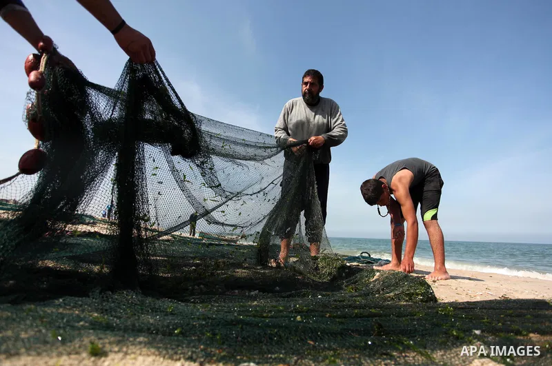 Palestinian fishermen collect fish from their nets at the beach in Gaza City on April 03, 2016. Israel on Sunday extended the distance it permits Gaza fishermen to head out to sea along certain parts of the coastline of...