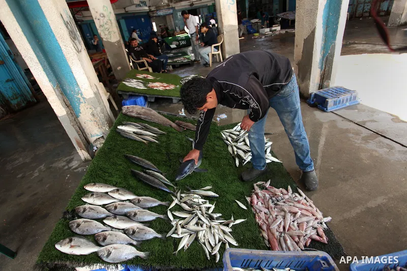 A Palestinian fisherman displays fish at his shop in the Gaza seaport, on April 03, 2016. Israel on Sunday extended the distance it permits Gaza fishermen to head out to sea along certain parts of the coastline of the en...