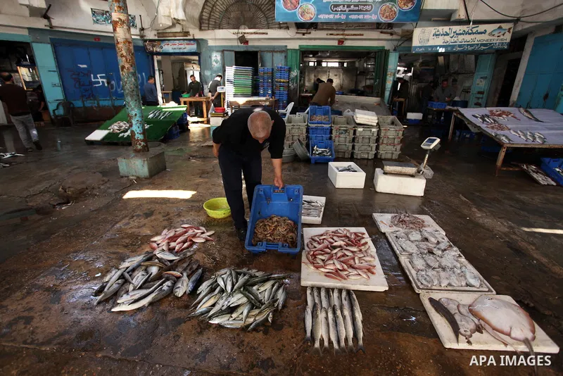 A Palestinian fisherman displays fish at his shop in the Gaza seaport, on April 03, 2016. Israel on Sunday extended the distance it permits Gaza fishermen to head out to sea along certain parts of the coastline of the en...