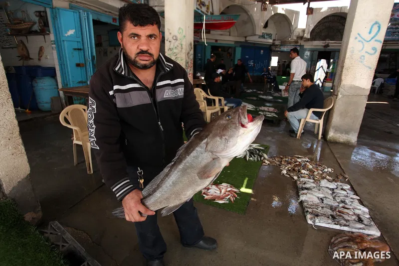 A Palestinian fisherman displays fish at his shop in the Gaza seaport, on April 03, 2016. Israel on Sunday extended the distance it permits Gaza fishermen to head out to sea along certain parts of the coastline of the en...