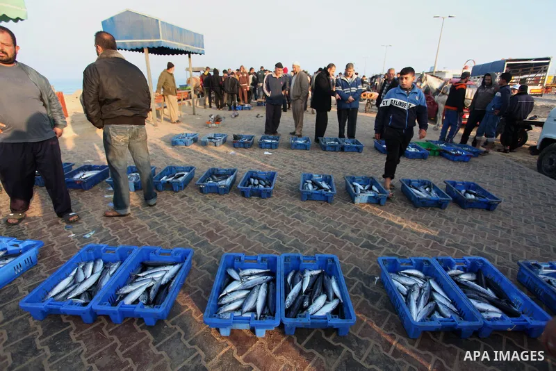 Palestinian fishermen display fish for sale, in Gaza seaport, on April 4, 2016. Israel on Sunday extended the distance it permits Gaza fishermen to head out to sea along certain parts of the coastline of the enclave, whi...
