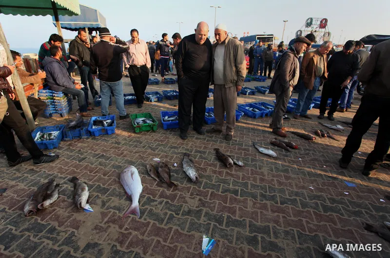 Palestinian fishermen display fish for sale, in Gaza seaport, on April 4, 2016. Israel on Sunday extended the distance it permits Gaza fishermen to head out to sea along certain parts of the coastline of the enclave, whi...
