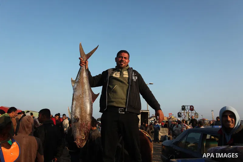 A Palestinian fisherman displays fish for sale, in Gaza seaport, on April 4, 2016. Israel on Sunday extended the distance it permits Gaza fishermen to head out to sea along certain parts of the coastline of the enclave,...