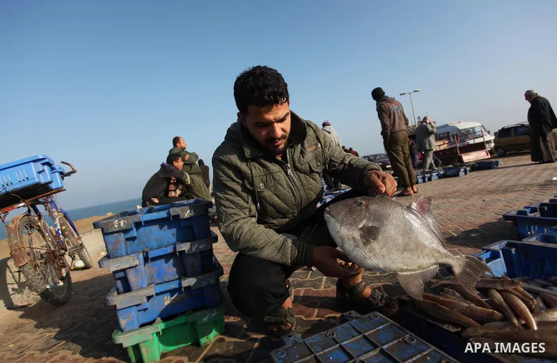 A Palestinian fisherman displays fish for sale, in Gaza seaport, on April 4, 2016. Israel on Sunday extended the distance it permits Gaza fishermen to head out to sea along certain parts of the coastline of the enclave,...
