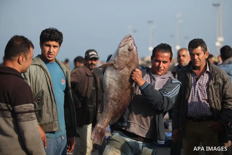 Palestinian fishermen display fish for sale, in Gaza seaport, on April 4, 2016. Israel on Sunday extended the distance it permits Gaza fishermen to head out to sea along certain parts of the coastline of the enclave, whi...