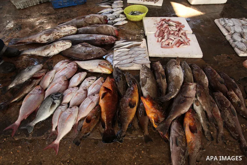Palestinian fishermen display fish for sale, in Gaza seaport, on April 4, 2016. Israel on Sunday extended the distance it permits Gaza fishermen to head out to sea along certain parts of the coastline of the enclave, whi...