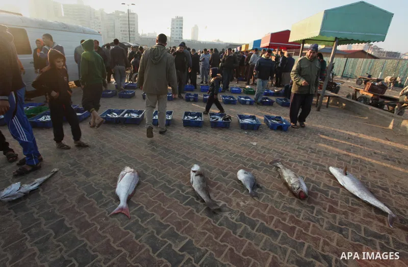 Palestinian fishermen display fish for sale, in Gaza seaport, on April 4, 2016. Israel on Sunday extended the distance it permits Gaza fishermen to head out to sea along certain parts of the coastline of the enclave, whi...