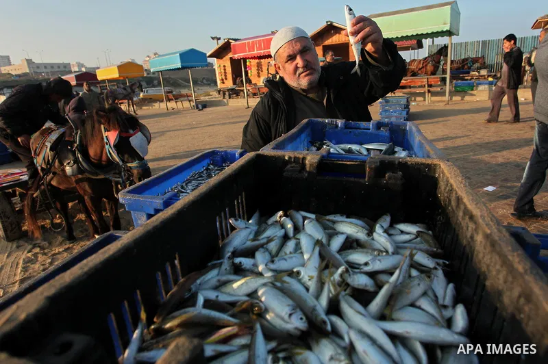 Palestinian fishermen display fish for sale, in Gaza seaport, on April 4, 2016. Israel on Sunday extended the distance it permits Gaza fishermen to head out to sea along certain parts of the coastline of the enclave, whi...