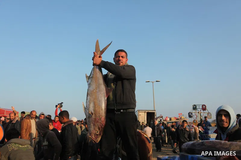 A Palestinian fisherman displays fish for sale, in Gaza seaport, on April 4, 2016. Israel on Sunday extended the distance it permits Gaza fishermen to head out to sea along certain parts of the coastline of the enclave,...