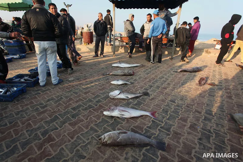 Palestinian fishermen display fish for sale, in Gaza seaport, on April 4, 2016. Israel on Sunday extended the distance it permits Gaza fishermen to head out to sea along certain parts of the coastline of the enclave, whi...