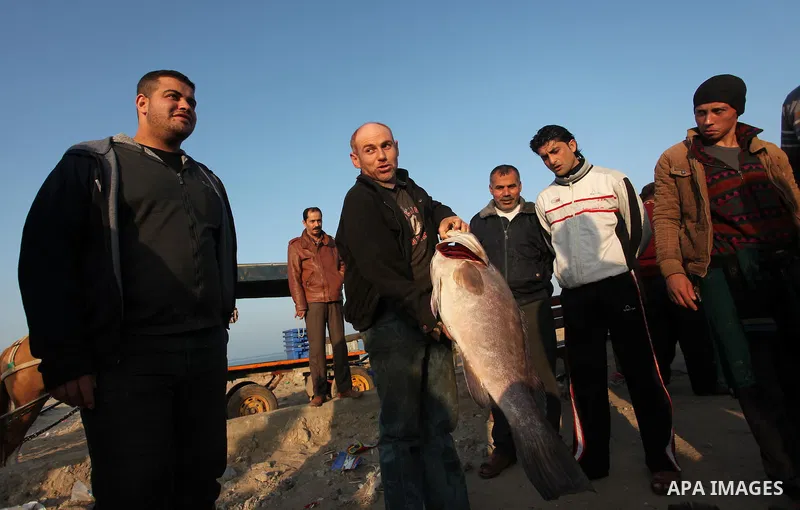Palestinian fishermen display fish for sale, in Gaza seaport, on April 4, 2016. Israel on Sunday extended the distance it permits Gaza fishermen to head out to sea along certain parts of the coastline of the enclave, whi...