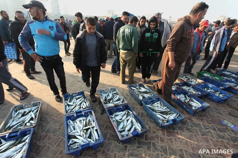 Palestinian fishermen display fish for sale, in Gaza seaport, on April 4, 2016. Israel on Sunday extended the distance it permits Gaza fishermen to head out to sea along certain parts of the coastline of the enclave, whi...