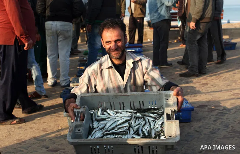 A Palestinian fisherman displays fish for sale, in Gaza seaport, on April 4, 2016. Israel on Sunday extended the distance it permits Gaza fishermen to head out to sea along certain parts of the coastline of the enclave,...
