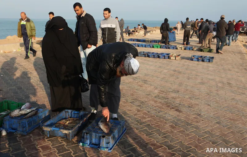 Palestinian fishermen display fish for sale, in Gaza seaport, on April 4, 2016. Israel on Sunday extended the distance it permits Gaza fishermen to head out to sea along certain parts of the coastline of the enclave, whi...