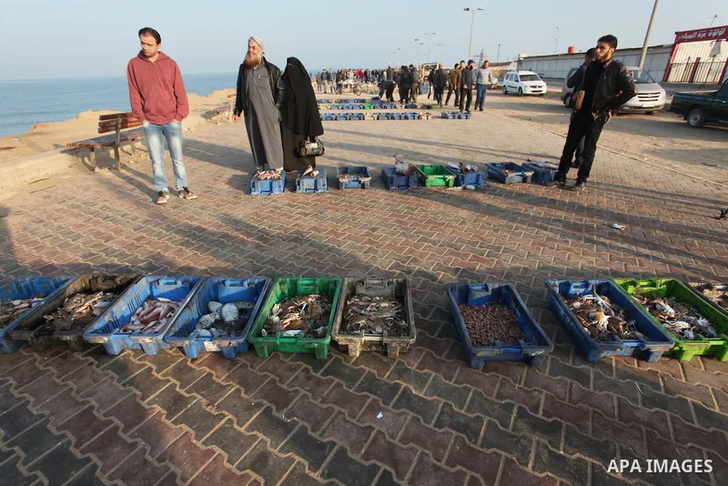 Palestinian fishermen display fish for sale, in Gaza seaport, on April 4, 2016. Israel on Sunday extended the distance it permits Gaza fishermen to head out to sea along certain parts of the coastline of the enclave, whi...