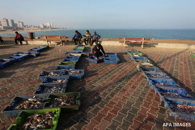 Palestinian fishermen display fish for sale, in Gaza seaport, on April 4, 2016. Israel on Sunday extended the distance it permits Gaza fishermen to head out to sea along certain parts of the coastline of the enclave, whi...