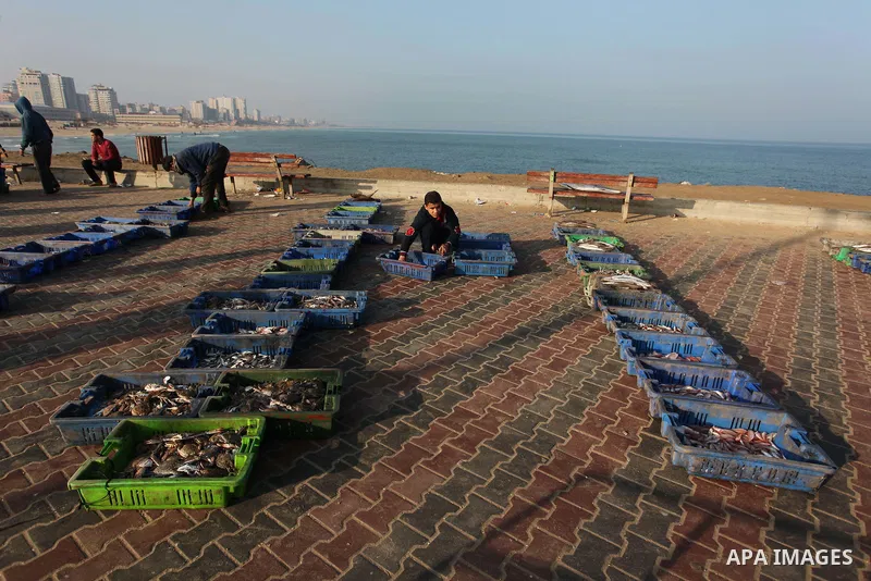 Palestinian fishermen display fish for sale, in Gaza seaport, on April 4, 2016. Israel on Sunday extended the distance it permits Gaza fishermen to head out to sea along certain parts of the coastline of the enclave, whi...