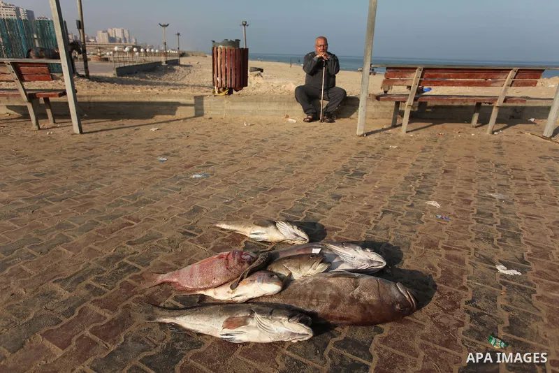 Palestinian fishermen display fish for sale, in Gaza seaport, on April 4, 2016. Israel on Sunday extended the distance it permits Gaza fishermen to head out to sea along certain parts of the coastline of the enclave, whi...