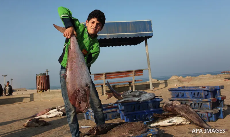 A Palestinian boy displays fish for sale, in Gaza seaport, on April 4, 2016. Israel on Sunday extended the distance it permits Gaza fishermen to head out to sea along certain parts of the coastline of the enclave, which...