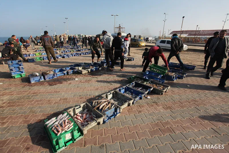 Palestinian fishermen display fish for sale, in Gaza seaport, on April 4, 2016. Israel on Sunday extended the distance it permits Gaza fishermen to head out to sea along certain parts of the coastline of the enclave, whi...