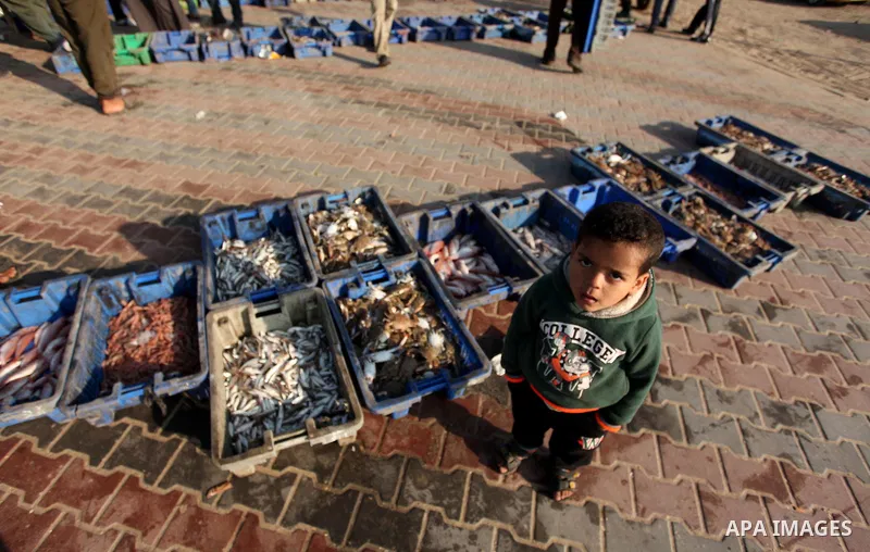 Palestinian fishermen display fish for sale, in Gaza seaport, on April 4, 2016. Israel on Sunday extended the distance it permits Gaza fishermen to head out to sea along certain parts of the coastline of the enclave, whi...