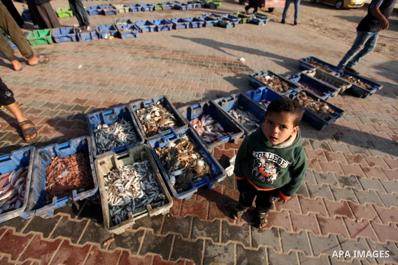 Palestinian fishermen display fish for sale, in Gaza seaport, on April 4, 2016. Israel on Sunday extended the distance it permits Gaza fishermen to head out to sea along certain parts of the coastline of the enclave, whi...