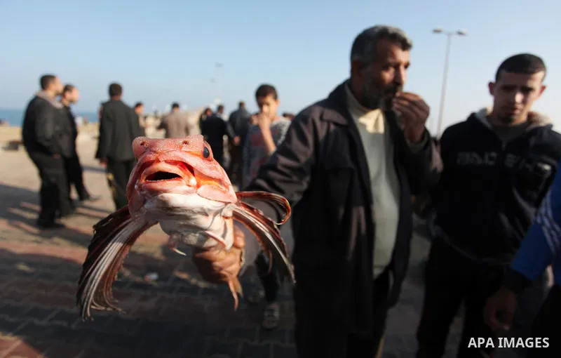 Palestinian fishermen display fish for sale, in Gaza seaport, on April 4, 2016. Israel on Sunday extended the distance it permits Gaza fishermen to head out to sea along certain parts of the coastline of the enclave, whi...