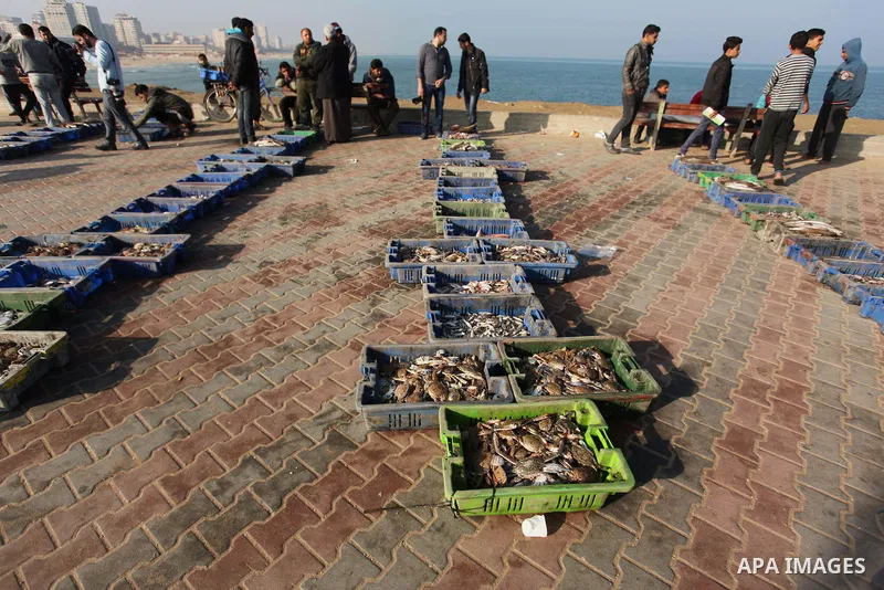 Palestinian fishermen display fish for sale, in Gaza seaport, on April 4, 2016. Israel on Sunday extended the distance it permits Gaza fishermen to head out to sea along certain parts of the coastline of the enclave, whi...