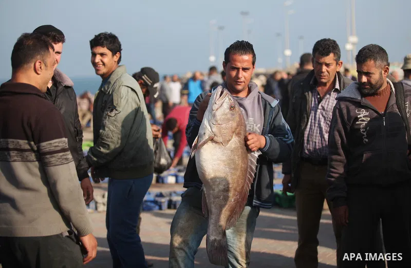 Palestinian fishermen display fish for sale, in Gaza seaport, on April 4, 2016. Israel on Sunday extended the distance it permits Gaza fishermen to head out to sea along certain parts of the coastline of the enclave, whi...