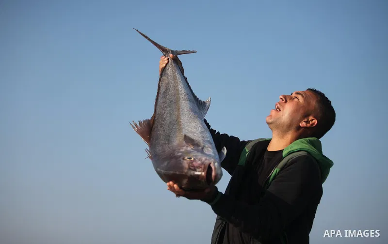 A Palestinian fisherman displays fish for sale, in Gaza seaport, on April 4, 2016. Israel on Sunday extended the distance it permits Gaza fishermen to head out to sea along certain parts of the coastline of the enclave,...