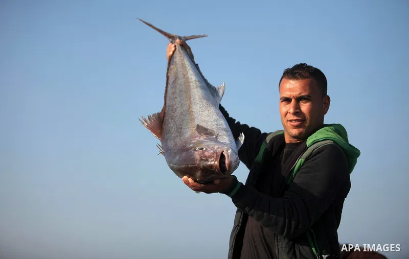 A Palestinian fisherman displays fish for sale, in Gaza seaport, on April 4, 2016. Israel on Sunday extended the distance it permits Gaza fishermen to head out to sea along certain parts of the coastline of the enclave,...