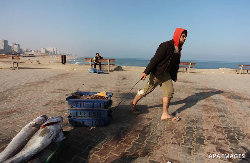 Palestinian fishermen display fish for sale, in Gaza seaport, on April 4, 2016. Israel on Sunday extended the distance it permits Gaza fishermen to head out to sea along certain parts of the coastline of the enclave, whi...