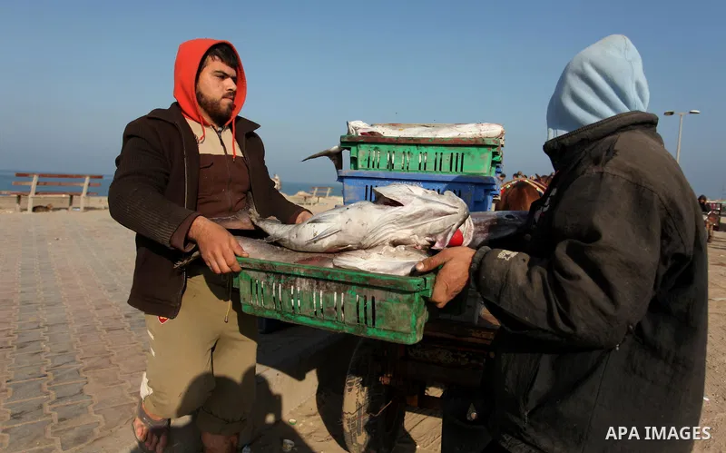 Palestinian fishermen display fish for sale, in Gaza seaport, on April 4, 2016. Israel on Sunday extended the distance it permits Gaza fishermen to head out to sea along certain parts of the coastline of the enclave, whi...