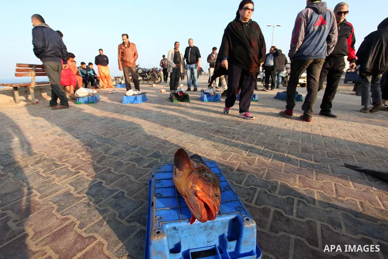 Palestinian fishermen display fish for sale, in Gaza seaport, on April 4, 2016. Israel on Sunday extended the distance it permits Gaza fishermen to head out to sea along certain parts of the coastline of the enclave, whi...