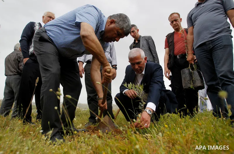 Palestinians and activists plant olive trees near Beit al-Baraka, a church compound situated between the Al-Arub refugee camp and the city of Hebron in the occupied West Bank, on April 9, 2016. Photo by Wisam Hashlamoun