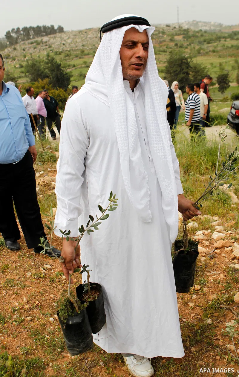 Palestinians and activists plant olive trees near Beit al-Baraka, a church compound situated between the Al-Arub refugee camp and the city of Hebron in the occupied West Bank, on April 9, 2016. Photo by Wisam Hashlamoun