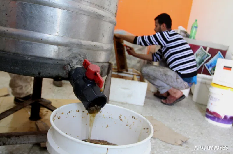 Palestinian beekeepers remove trays from a beehive to collect honey at a honey-bee farm in Bureij Refugee Camp, central Gaza Strip, on April 16, 2016. Beekeepers collect honey and wax from the beehives at this time of ye...