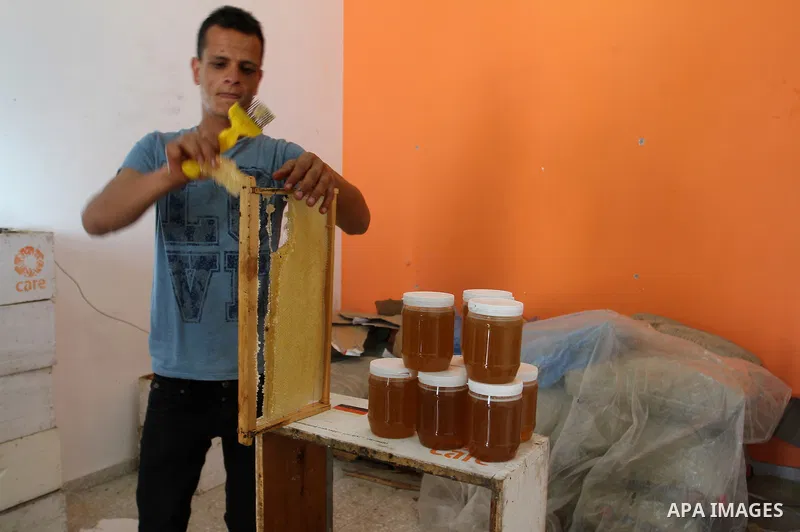 Palestinian beekeepers remove trays from a beehive to collect honey at a honey-bee farm in Bureij Refugee Camp, central Gaza Strip, on April 16, 2016. Beekeepers collect honey and wax from the beehives at this time of ye...