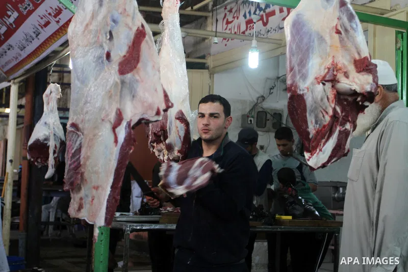 A Palestinian man sells meat at his shop in a market in Rafah in the southern Gaza Strip, April 19, 2016. Photo by Abed Rahim Khatib