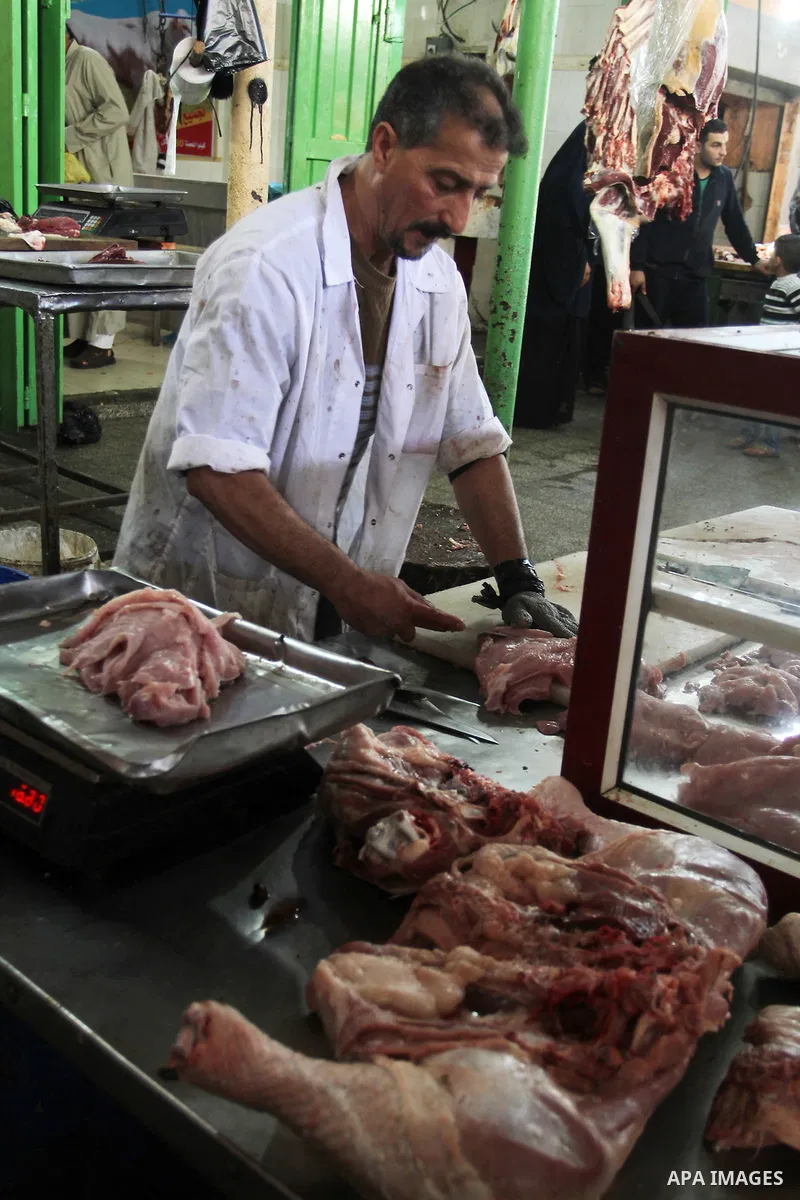A Palestinian man sells meat at his shop in a market in Rafah in the southern Gaza Strip, April 19, 2016. Photo by Abed Rahim Khatib