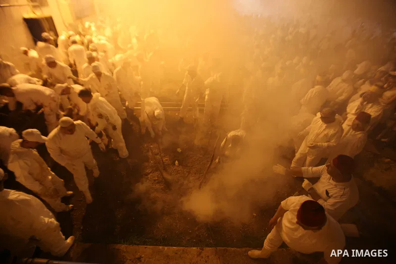 Members of the ancient Samaritan community participate in the ritual of Passover Sacrifice on Mount Grizim, overlooking the West Bank town of Nablus, April 20, 2016. Samaritans descended from the ancient Israelite tribes...