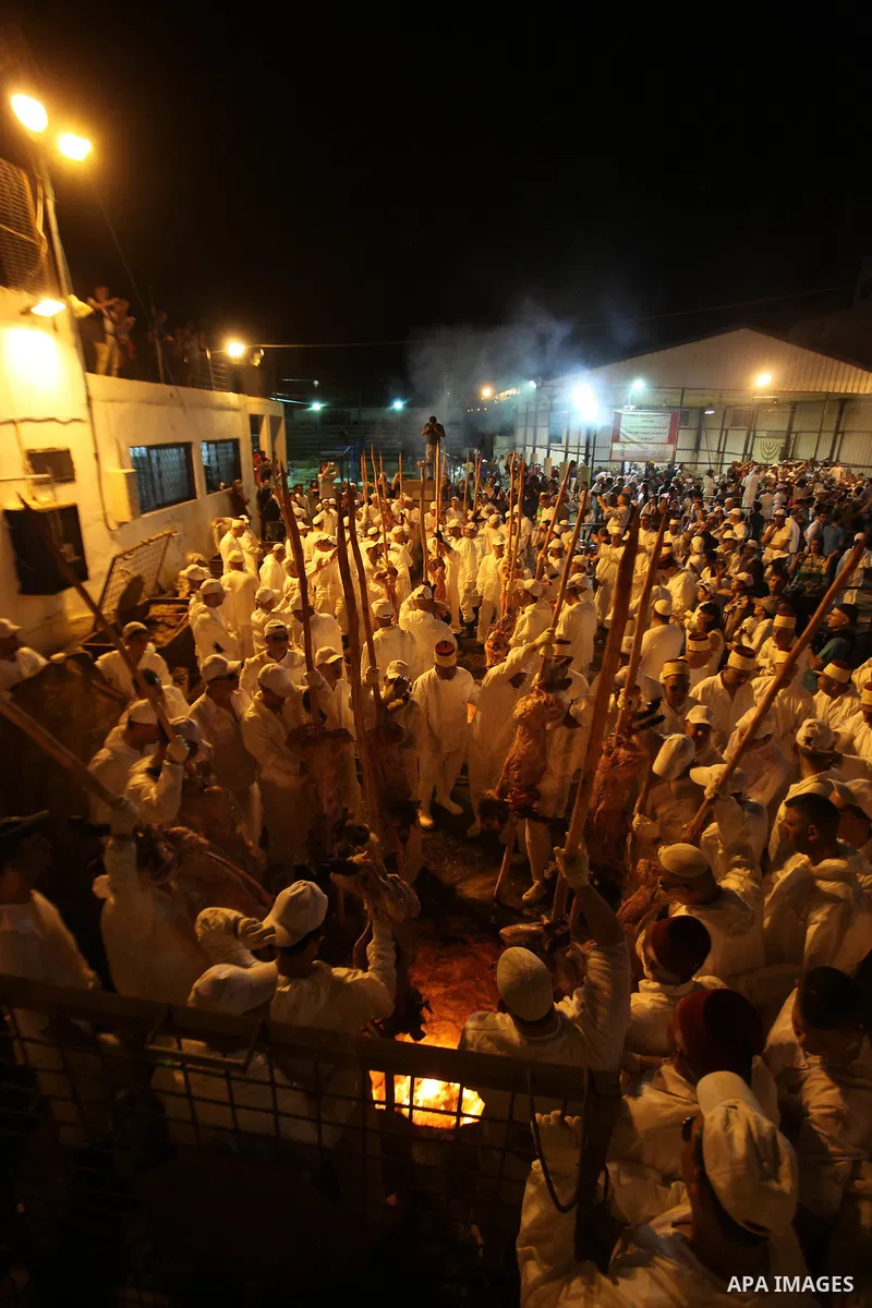 Members of the ancient Samaritan community participate in the ritual of Passover Sacrifice on Mount Grizim, overlooking the West Bank town of Nablus, April 20, 2016. Samaritans descended from the ancient Israelite tribes...