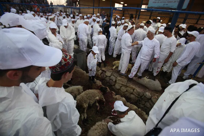 Members of the ancient Samaritan community participate in the ritual of Passover Sacrifice on Mount Grizim, overlooking the West Bank town of Nablus, April 20, 2016. Samaritans descended from the ancient Israelite tribes...